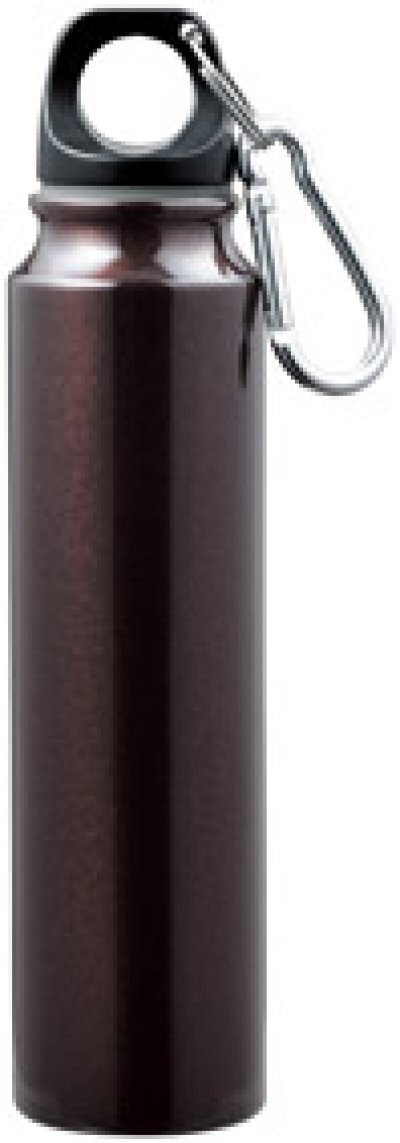 アルミスリムボトル カラビナ付