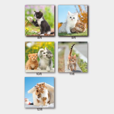 THE CAT’s(ザ・キャッツ)