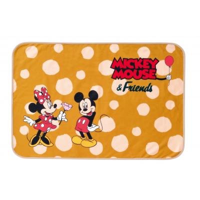 みんなのキャラクター　プレシャスブランケット