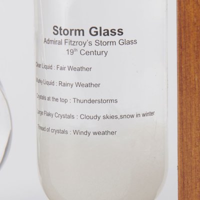 【Fun Science】温度計&ストームグラス ブラウン 333-272BR