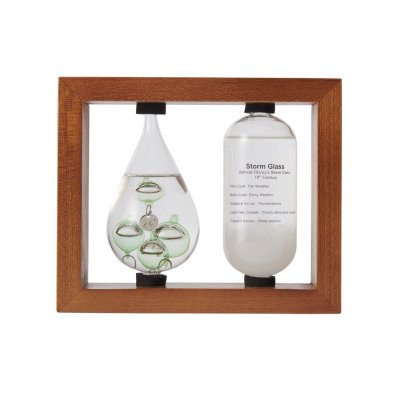 【Fun Science】温度計&ストームグラス ブラウン 333-272BR