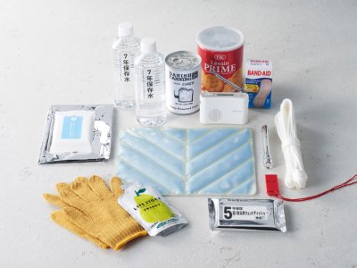 ひんやりアイスシート