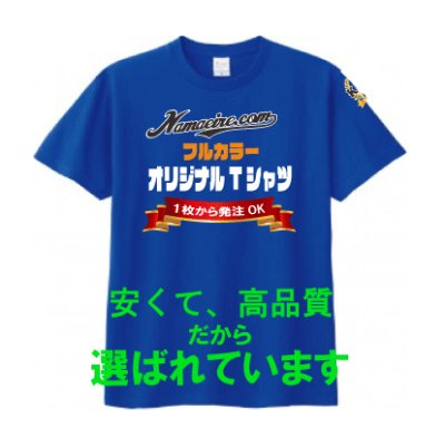画像1: 5.6オンス ヘビーウェイトTシャツ