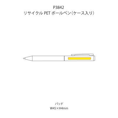 リサイクルPETボールペン（ケース入り）