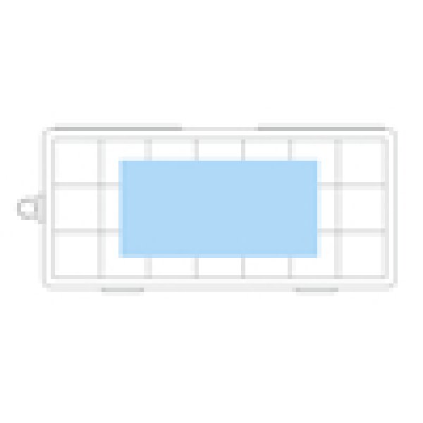 画像4: 7デイズピルケース (4)