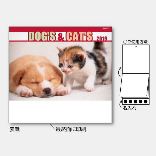 ドッグ&キャッツ