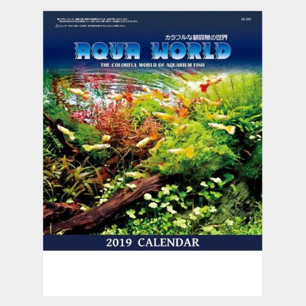 アクアワールド(熱帯魚7枚)