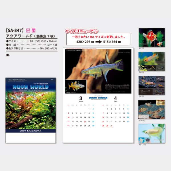 アクアワールド(熱帯魚7枚)