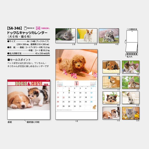 ドッグ&キャッツ