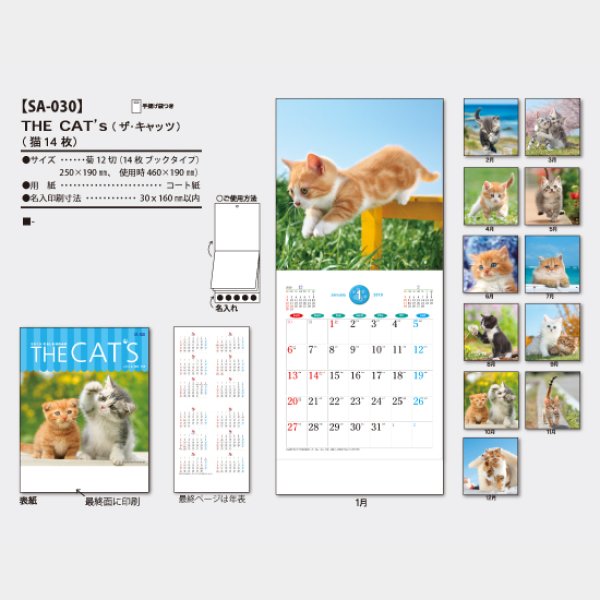 THE CAT’s(ザ・キャッツ)