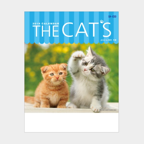 THE CAT’s(ザ・キャッツ)