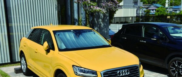 年中使える!2WAYカーシェード