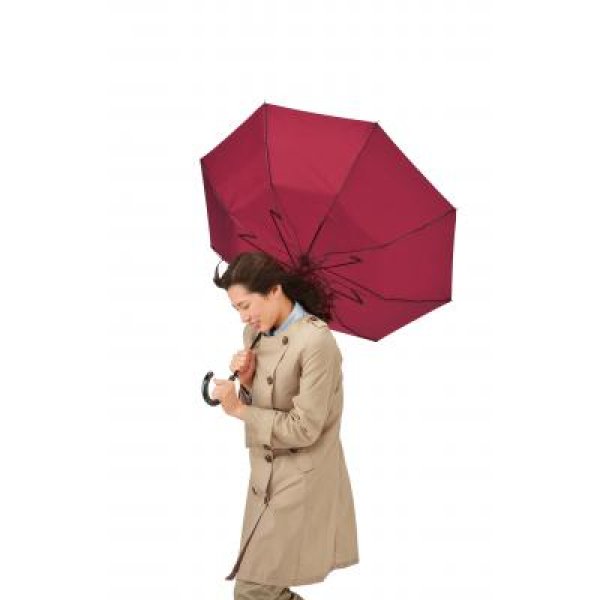 耐風傘1本