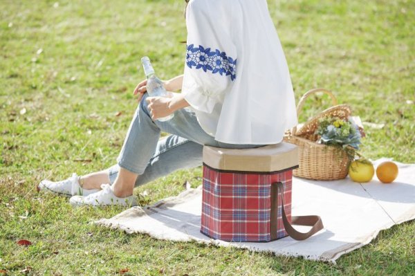 画像7: 座れて便利!レジャー保冷温バッグ (7)