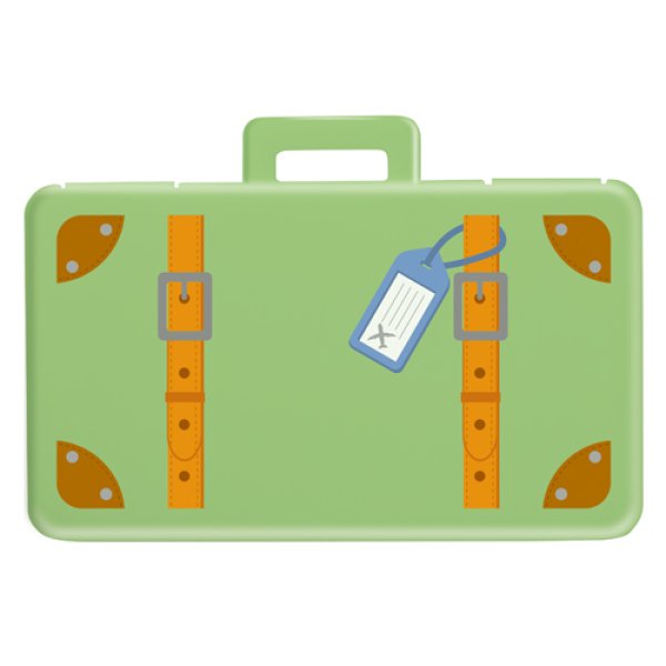 バッグみたいな抗菌ハードマスクケース