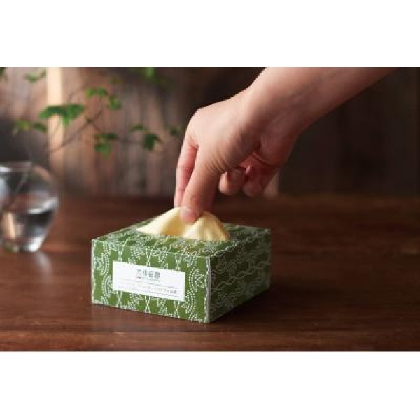 文様百趣 バンブーファイバーボックスクロス(30枚)