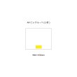 A4ビッグルーペ(2倍)