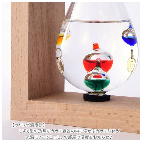 【Fun Science】温度計&ストームグラス