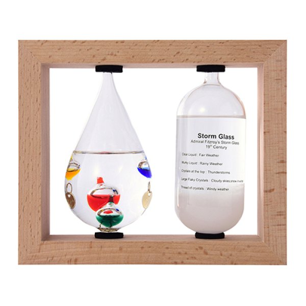 【Fun Science】温度計&ストームグラス