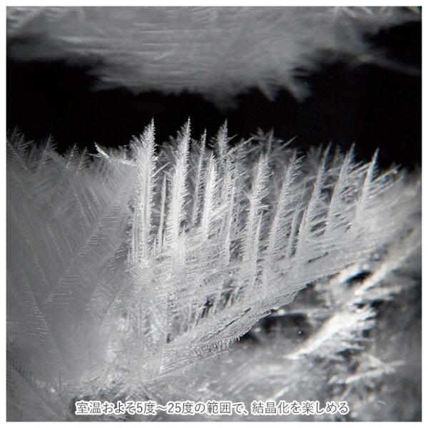 【Fun Science】温度計&ストームグラス