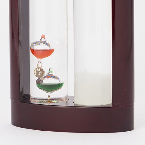 【Fun Science】温度計&ストームグラス