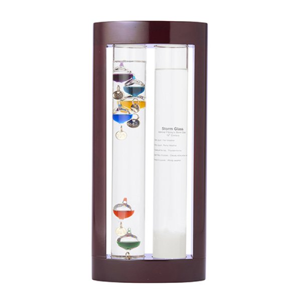 【Fun Science】温度計&ストームグラス