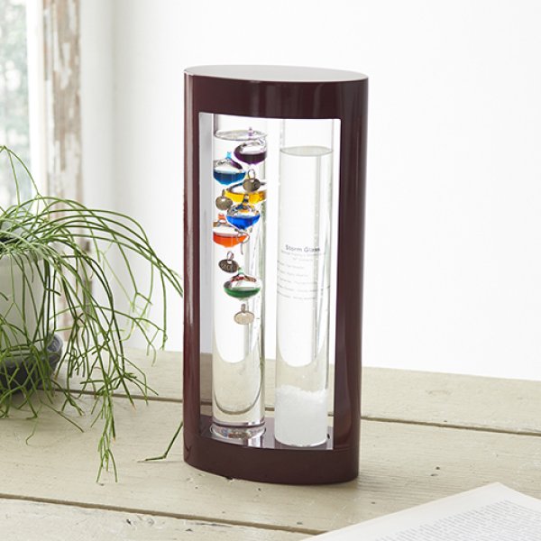 【Fun Science】温度計&ストームグラス