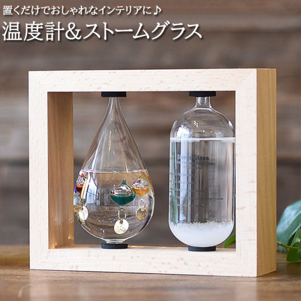 【Fun Science】温度計&ストームグラス