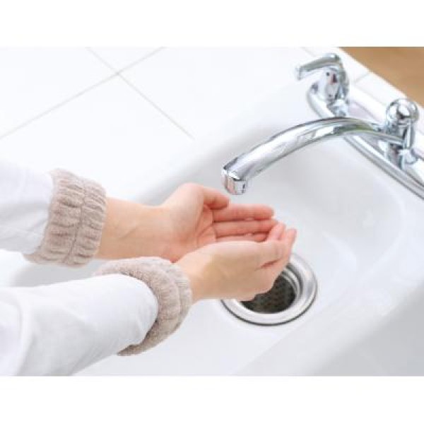 アニマル吸水アームバンド１組